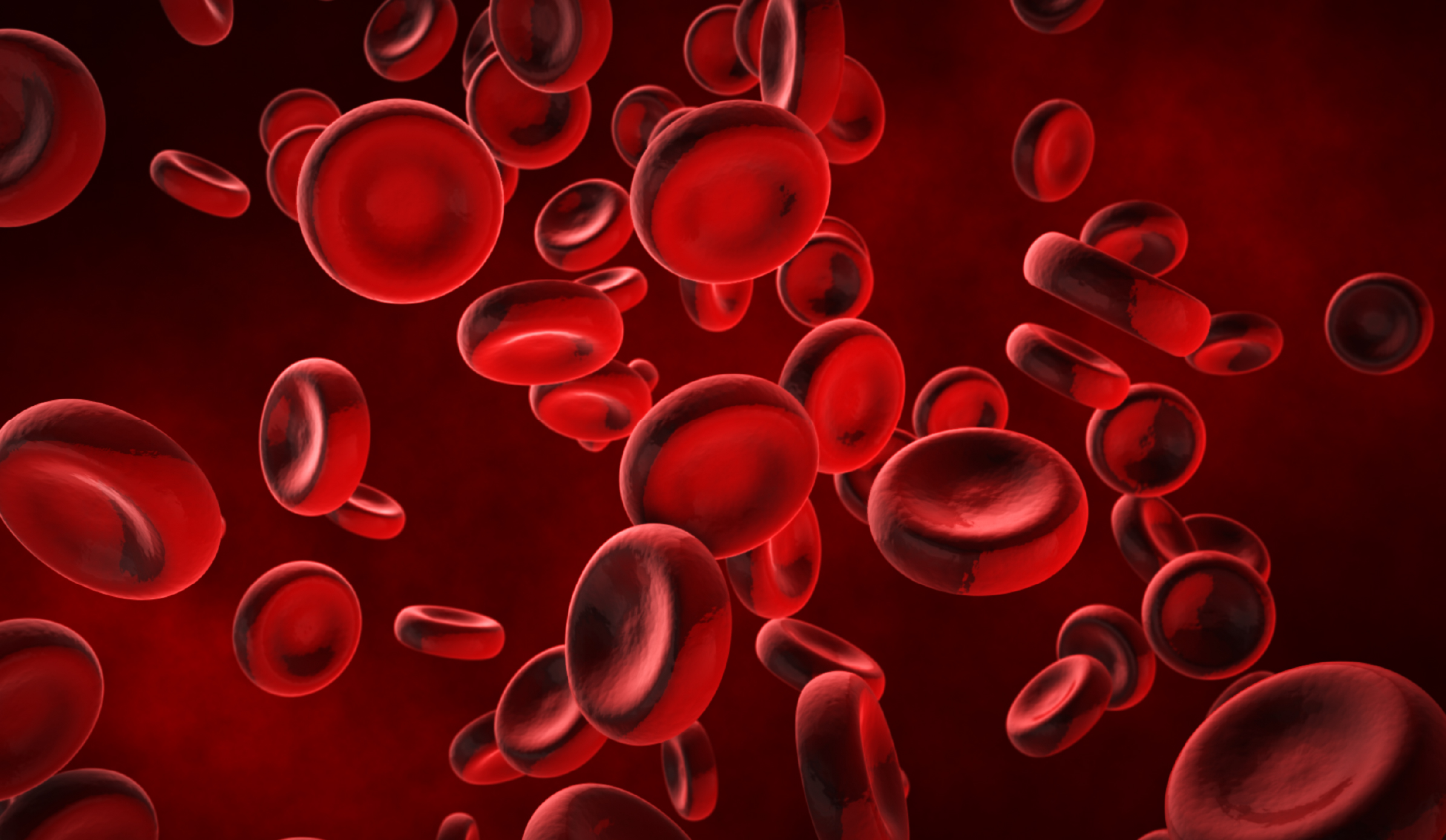 AQ - 1746-2025 - Acordo quadro de medicamentos do grupo do sangue__Notícia Site